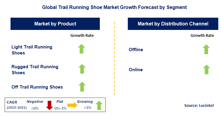 Trail Running Shoe Market by Segment